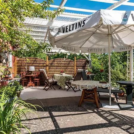 Bauernhof Rohde Apartmán